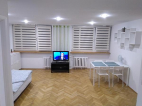 Apartament Zielona Wierzba blisko Sky Tower